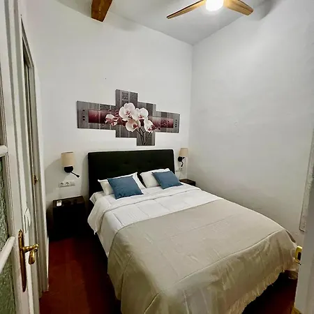 Apartment Casa Naty, Espacioso Renovado En El Centro De